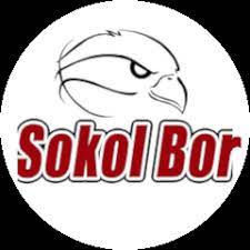 TJ Sokol Bor z.s.